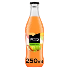 Cappy Multivitamín Sklo 0,25l